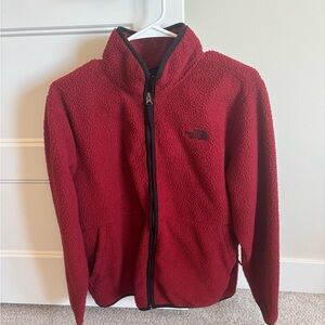 The North Face Men's Deep Red Performance Jacket